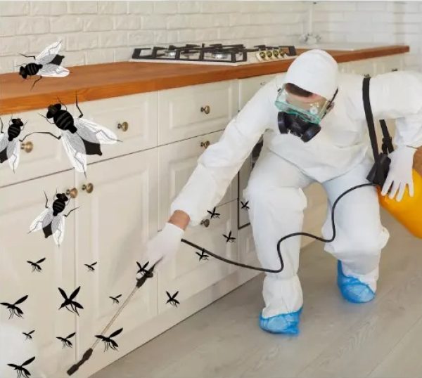 Blue and Red Modern Pest Control Facebook Post - 1
