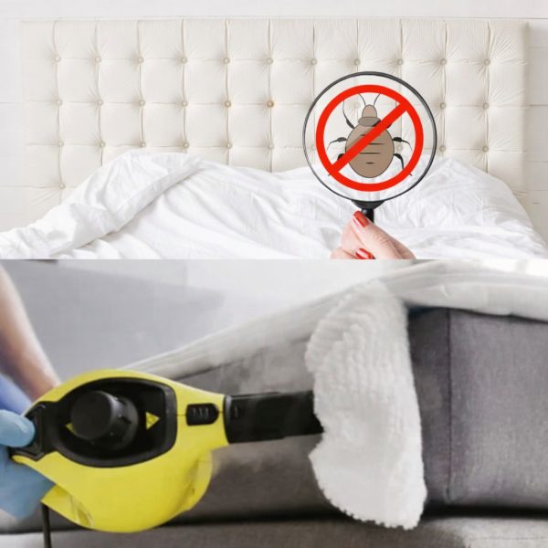 bed-Bug-heat-control