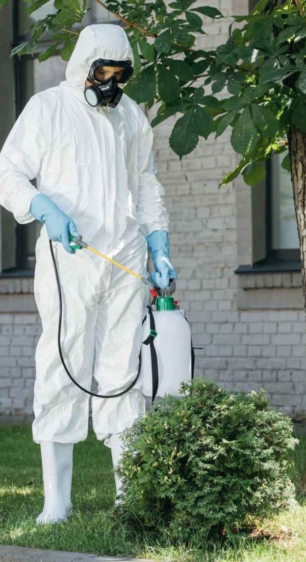 pest-control-muscar